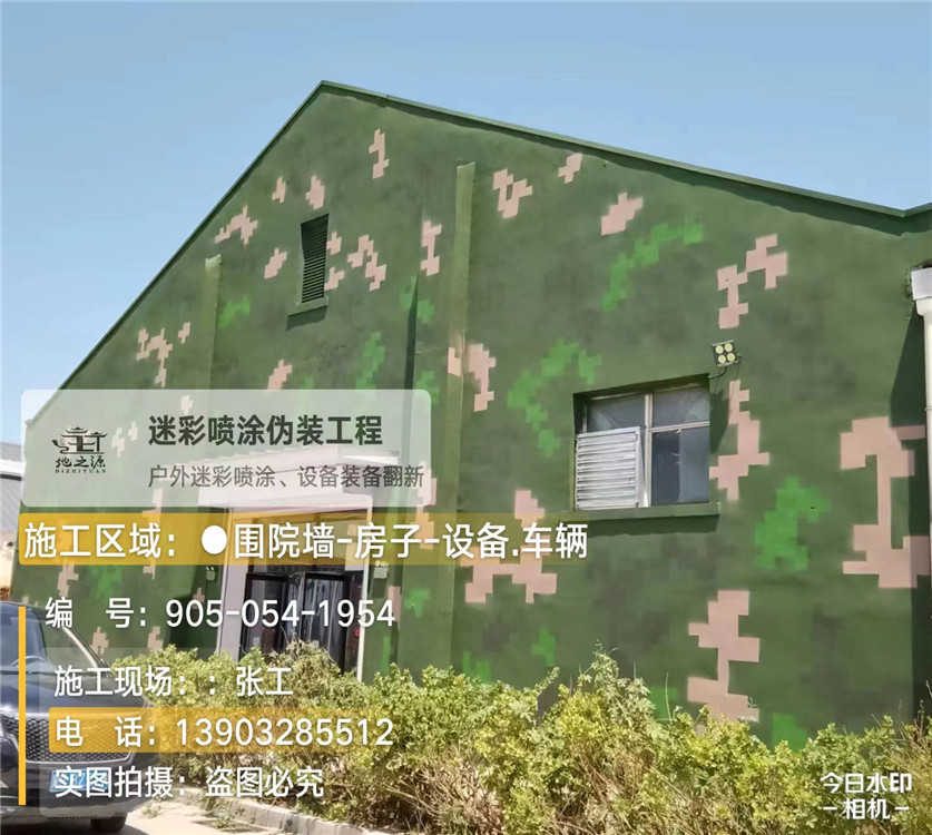 忠县外墙数码迷彩漆施工报价清单（100㎡标准墙面测算）